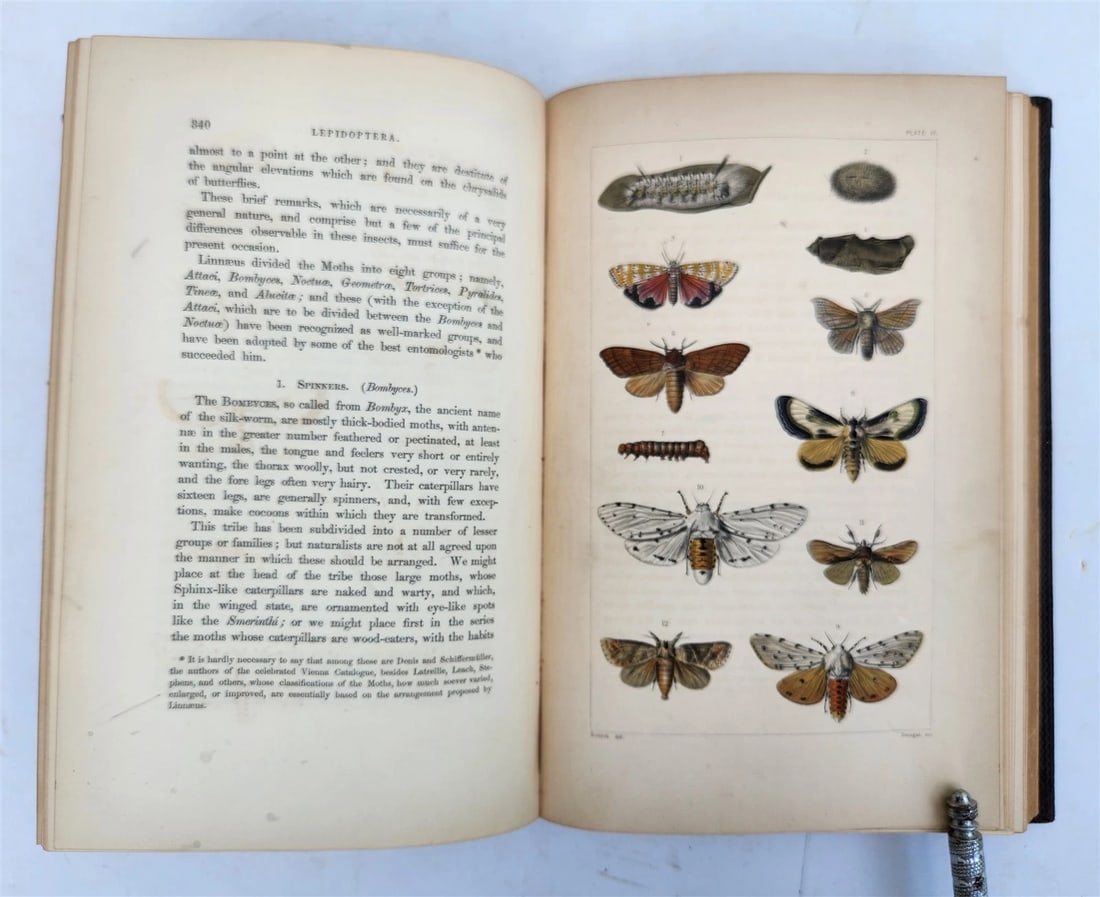 1862 TREATISE on INSECTS INJURIOUS TO VEGETATION antique ILLUSTRATED - 16