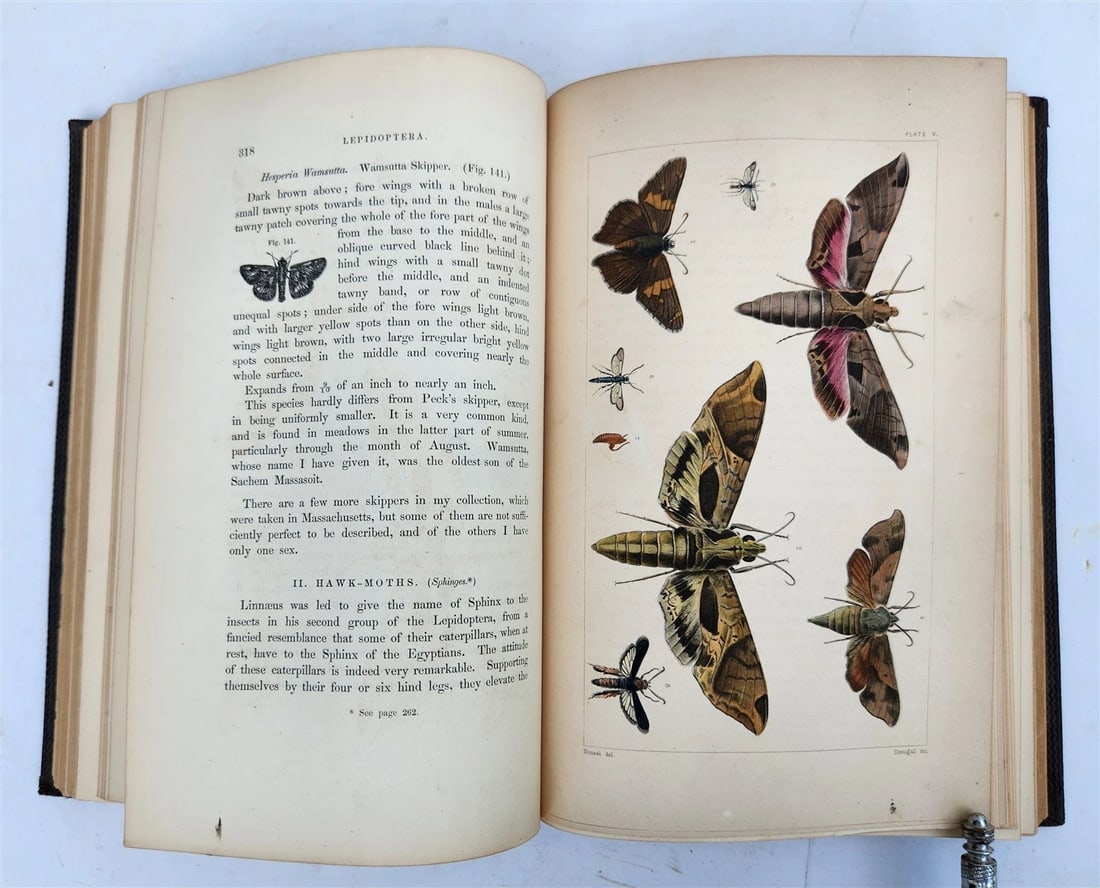 1862 TREATISE on INSECTS INJURIOUS TO VEGETATION antique ILLUSTRATED - 17