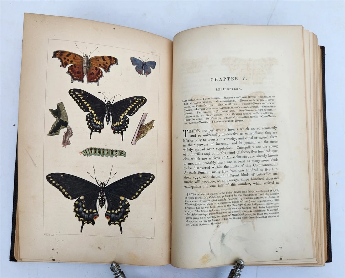 1862 TREATISE on INSECTS INJURIOUS TO VEGETATION antique ILLUSTRATED - 18