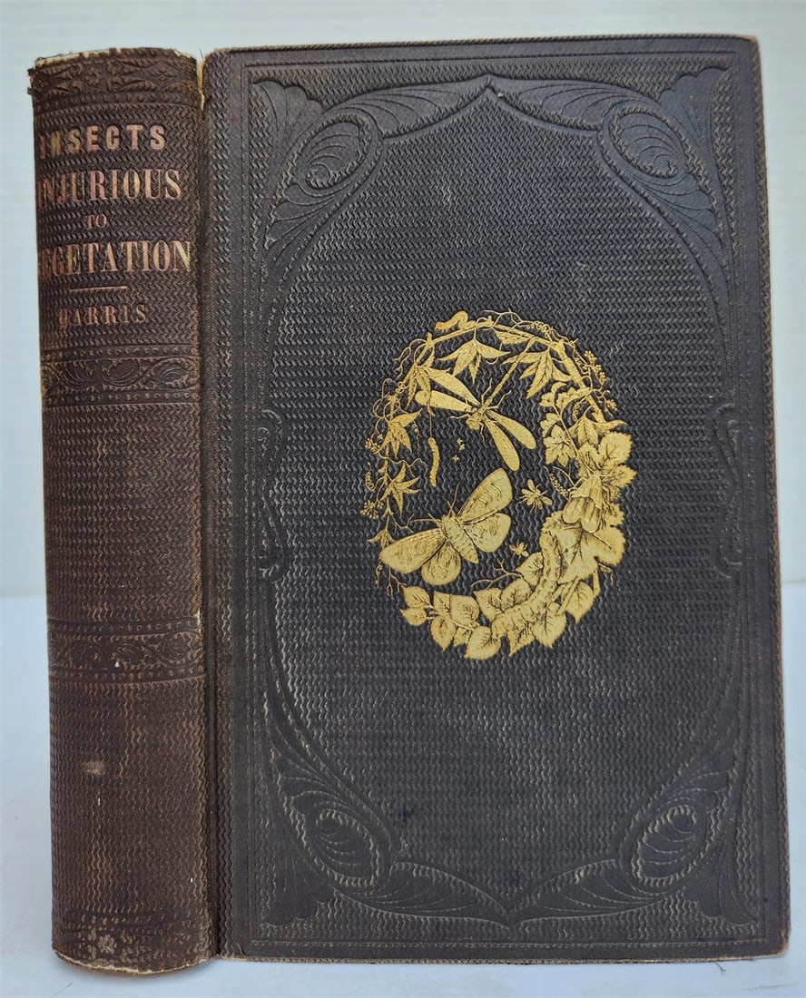 1862 TREATISE on INSECTS INJURIOUS TO VEGETATION antique ILLUSTRATED - 2