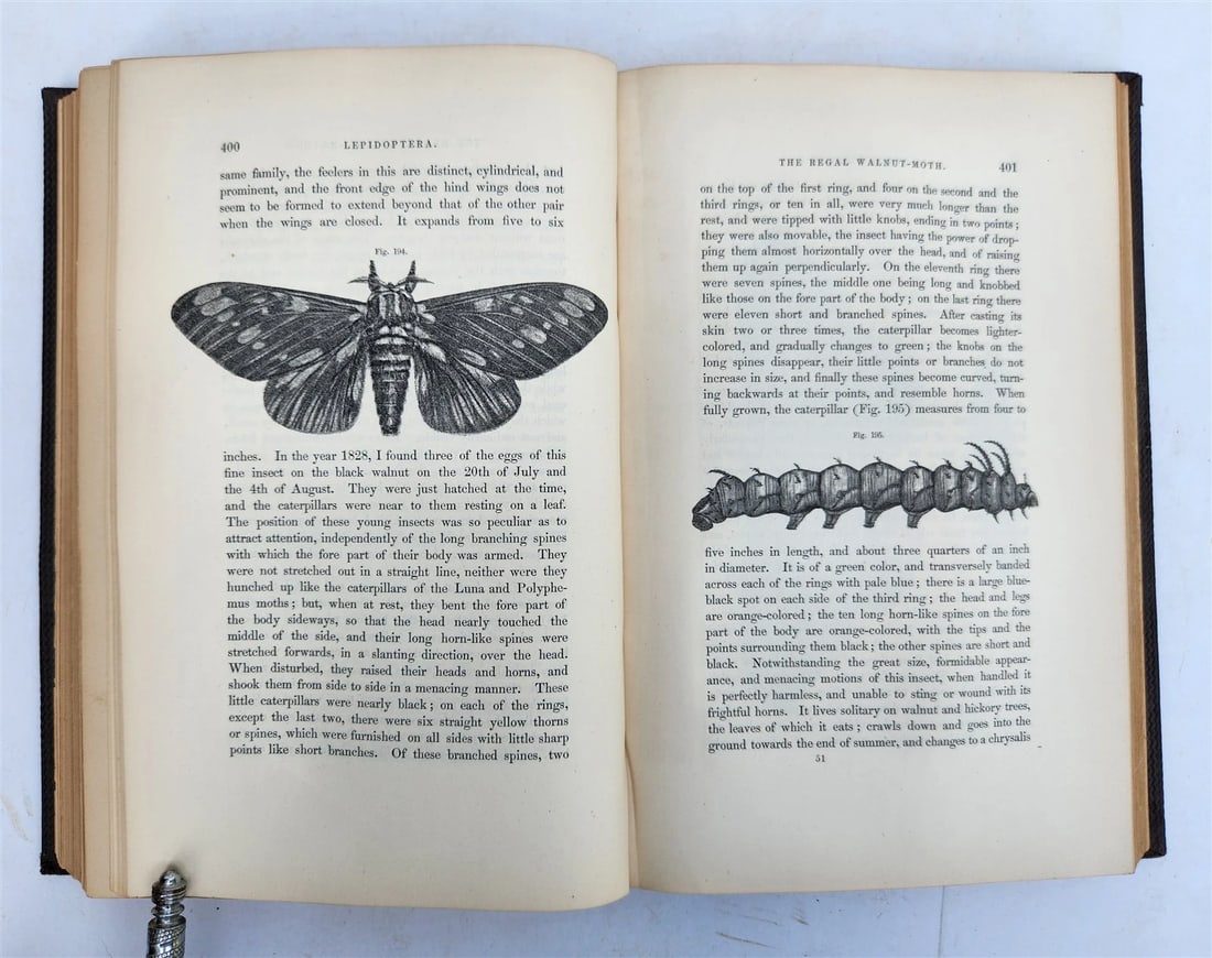 1862 TREATISE on INSECTS INJURIOUS TO VEGETATION antique ILLUSTRATED - 9