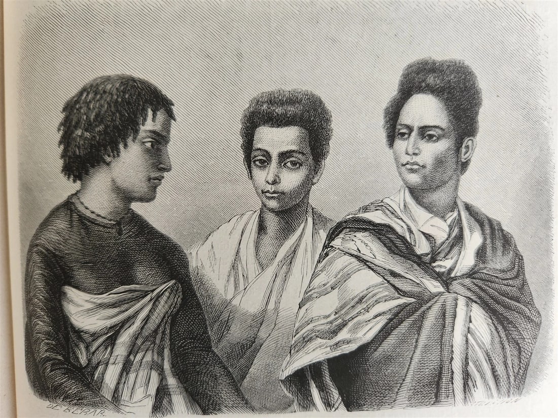 1861 HISTORY VOYAGES ILLUSTRATED antique CENTRAL ASIA AFGHANISTAN BRAZIL RUSSIA - 5