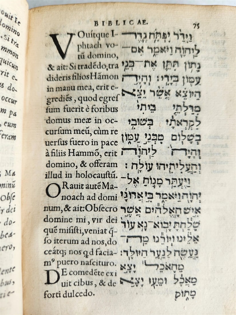 1554 BIBLE in Hebrew Latin & Greek antique SCARCE - 7