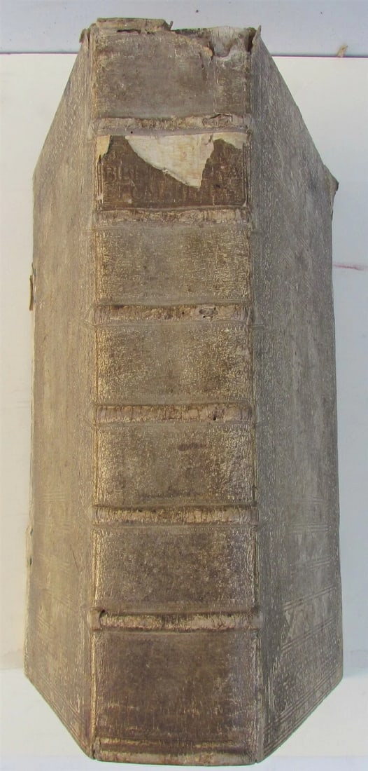1751 PIGSKIN BINDING BIBLE BIBLIA SACRA FOLIO 9.5 x 15" antique ILLUSTRATED (1 of 11)