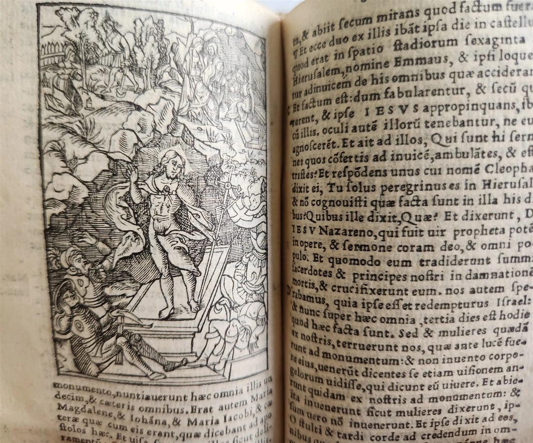 1539 BIBLE in LATIN FULLY ILLUSTRATED antique VELLUM rare 16th CENTURY - 14