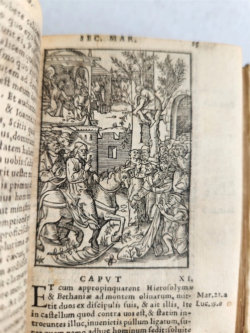 1539 BIBLE in LATIN FULLY ILLUSTRATED antique VELLUM rare 16th CENTURY - 8