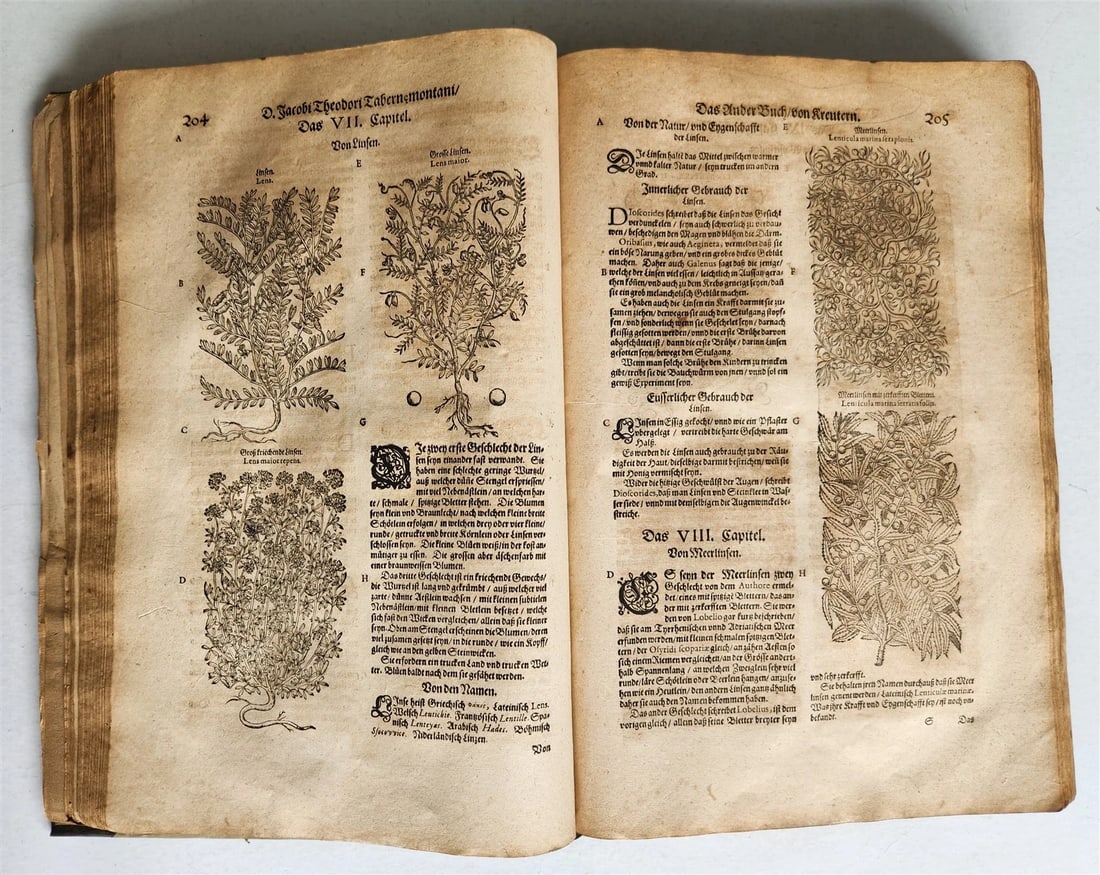 1588 HERBAL BOOK in GERMAN antique ILLUSTRATED Tabernaemontanus - 11