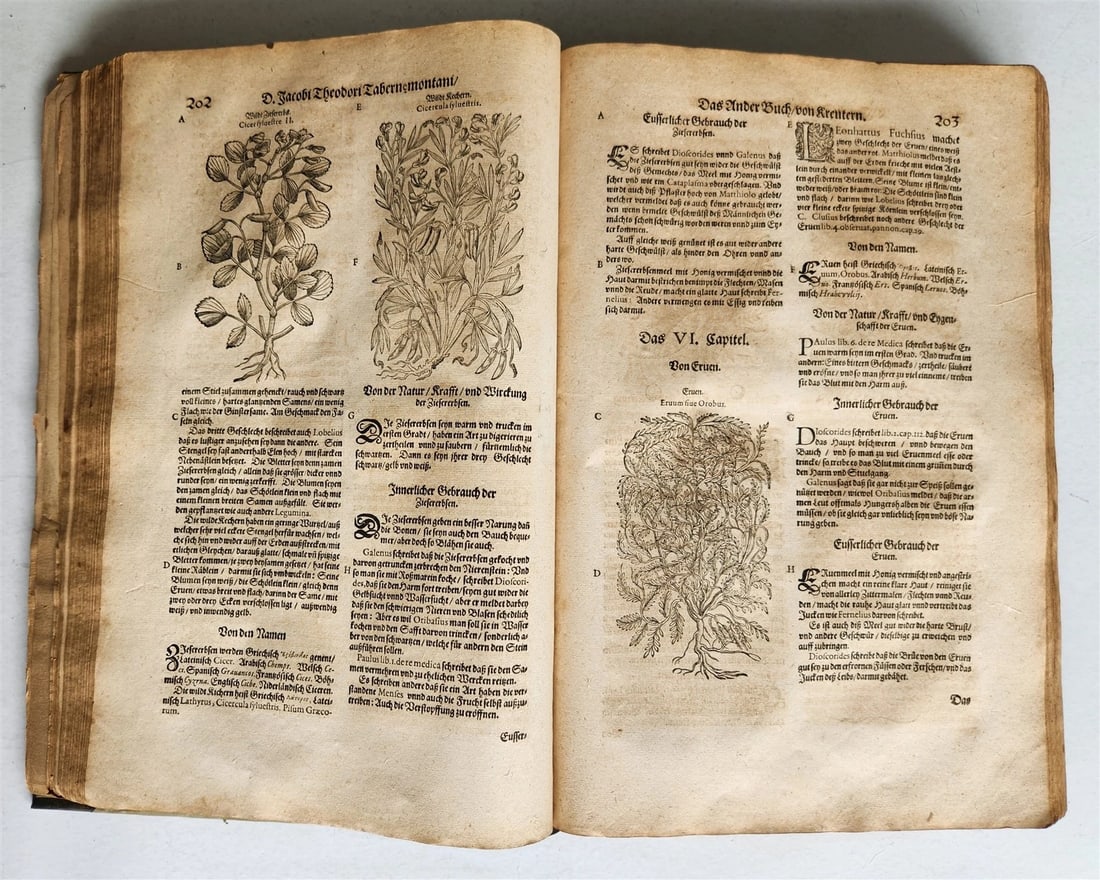 1588 HERBAL BOOK in GERMAN antique ILLUSTRATED Tabernaemontanus - 12