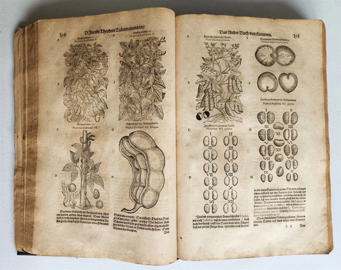 1588 HERBAL BOOK in GERMAN antique ILLUSTRATED Tabernaemontanus - 16