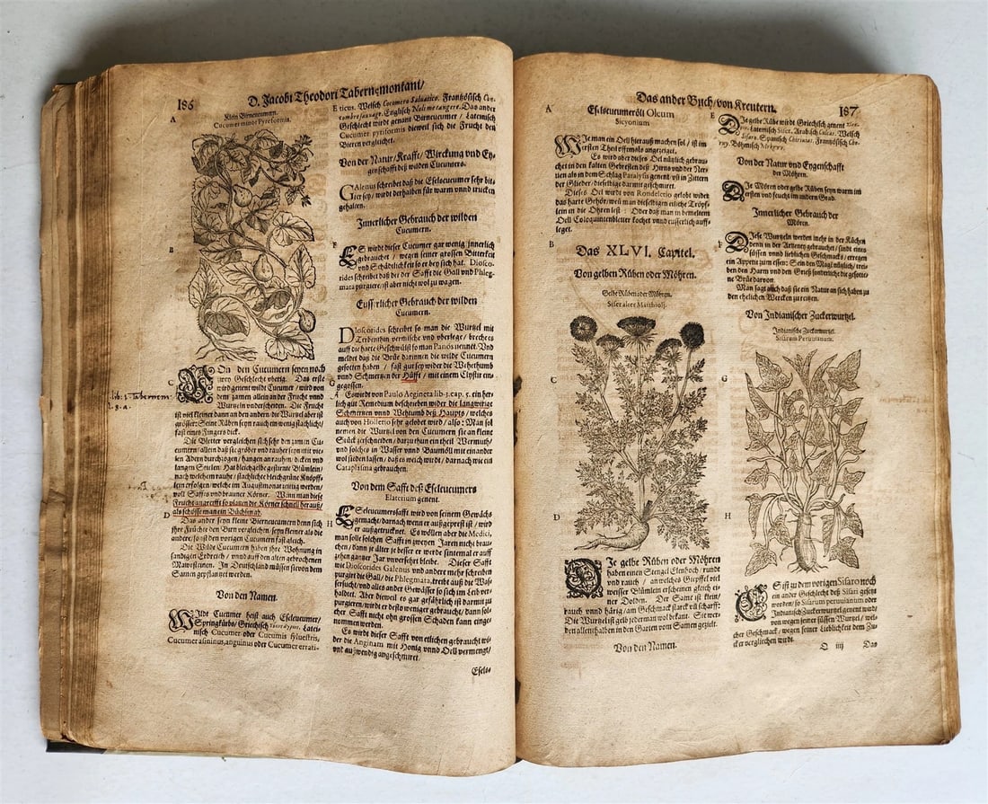 1588 HERBAL BOOK in GERMAN antique ILLUSTRATED Tabernaemontanus - 18