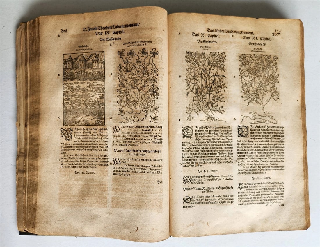 1588 HERBAL BOOK in GERMAN antique ILLUSTRATED Tabernaemontanus - 9