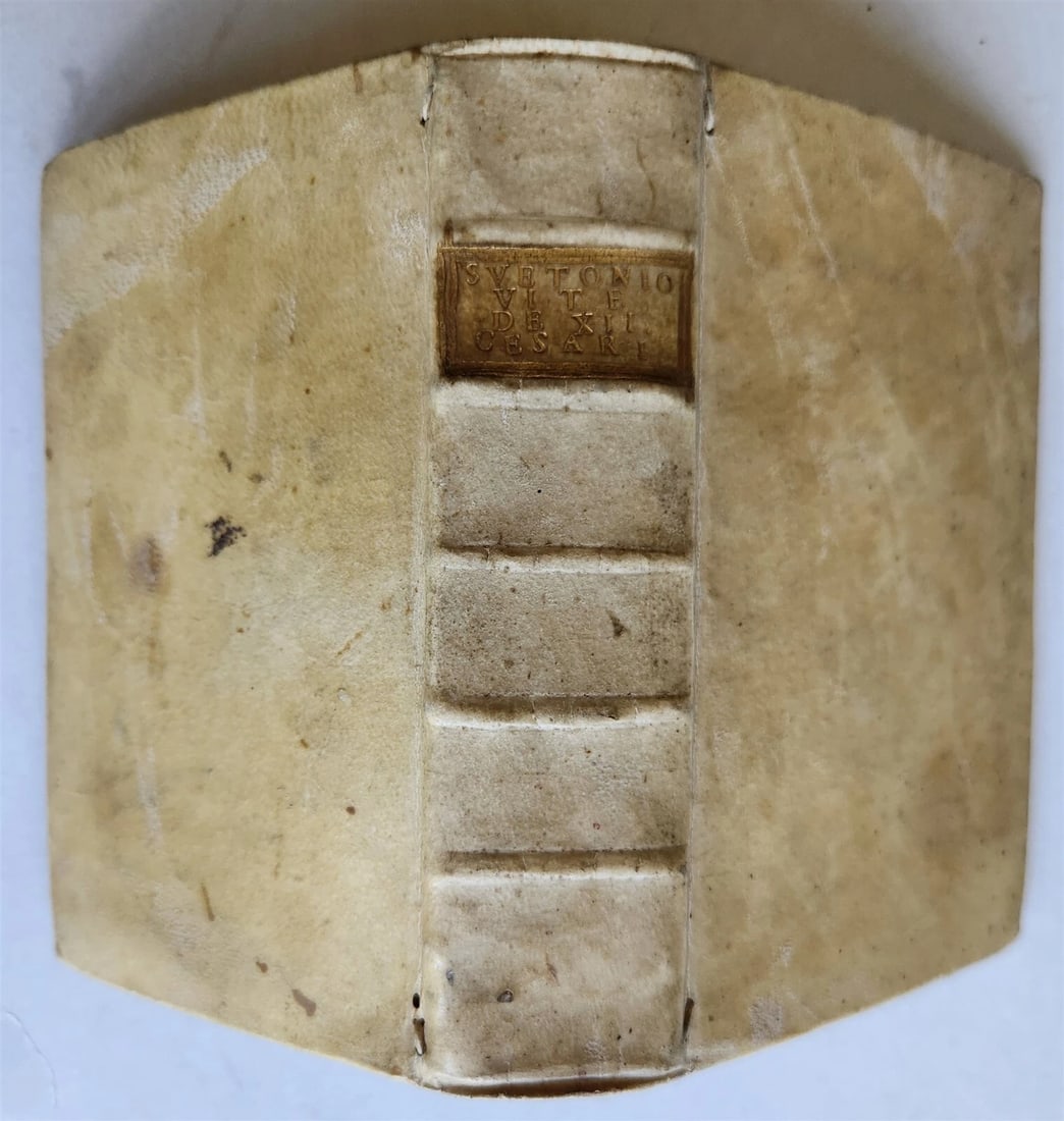 1554 LIFE of TWELVE CAESARS by SUETONIUS antique VELLUM BOUND ROMAN HISTORY - 2