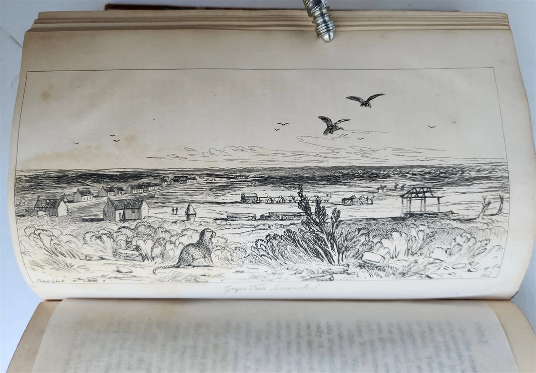1844 A NARRATIVE of a VISIT to MAURITIUS & SOUTH AFRICA antique ILLUSTRATED - 11