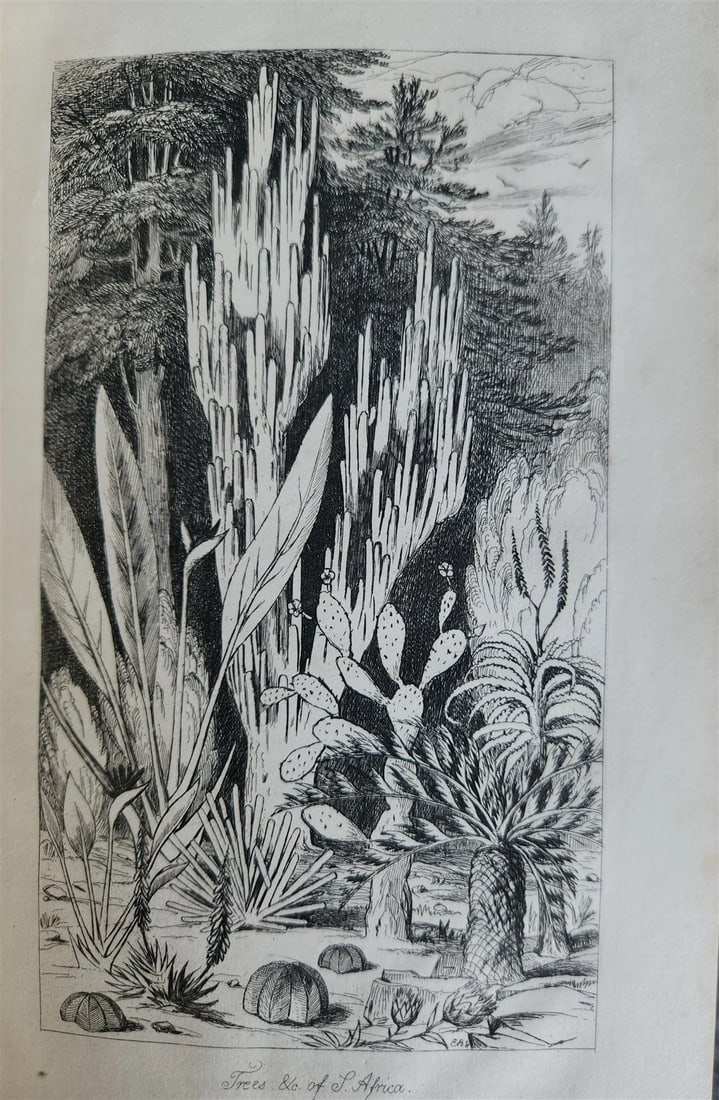1844 A NARRATIVE of a VISIT to MAURITIUS & SOUTH AFRICA antique ILLUSTRATED - 18