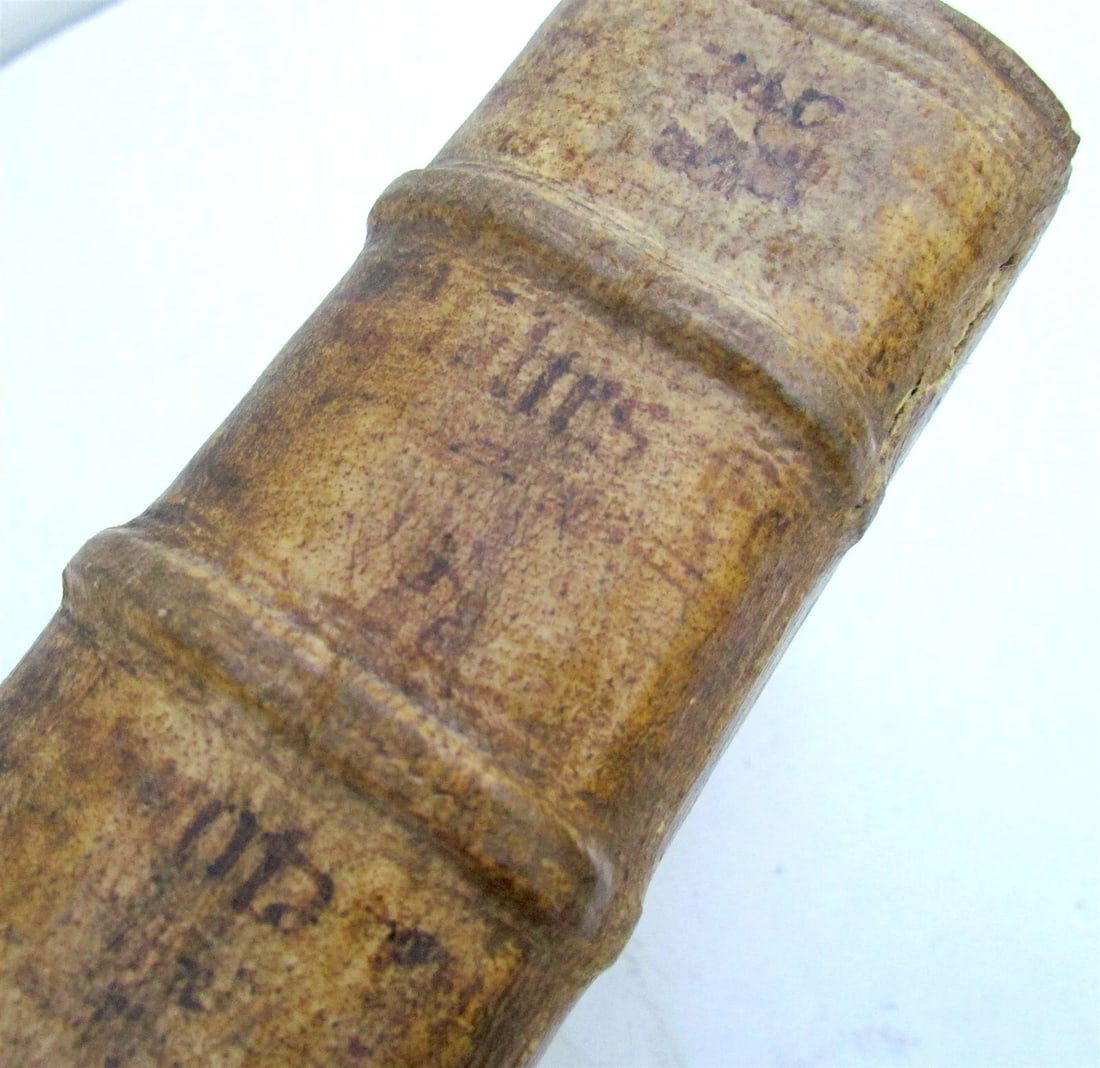 1559 TYPUS ECCLESIAE CATHOLICAE G. Witzel BLIND TOOLED PIGSKIN w/ CLASPS antique - 4