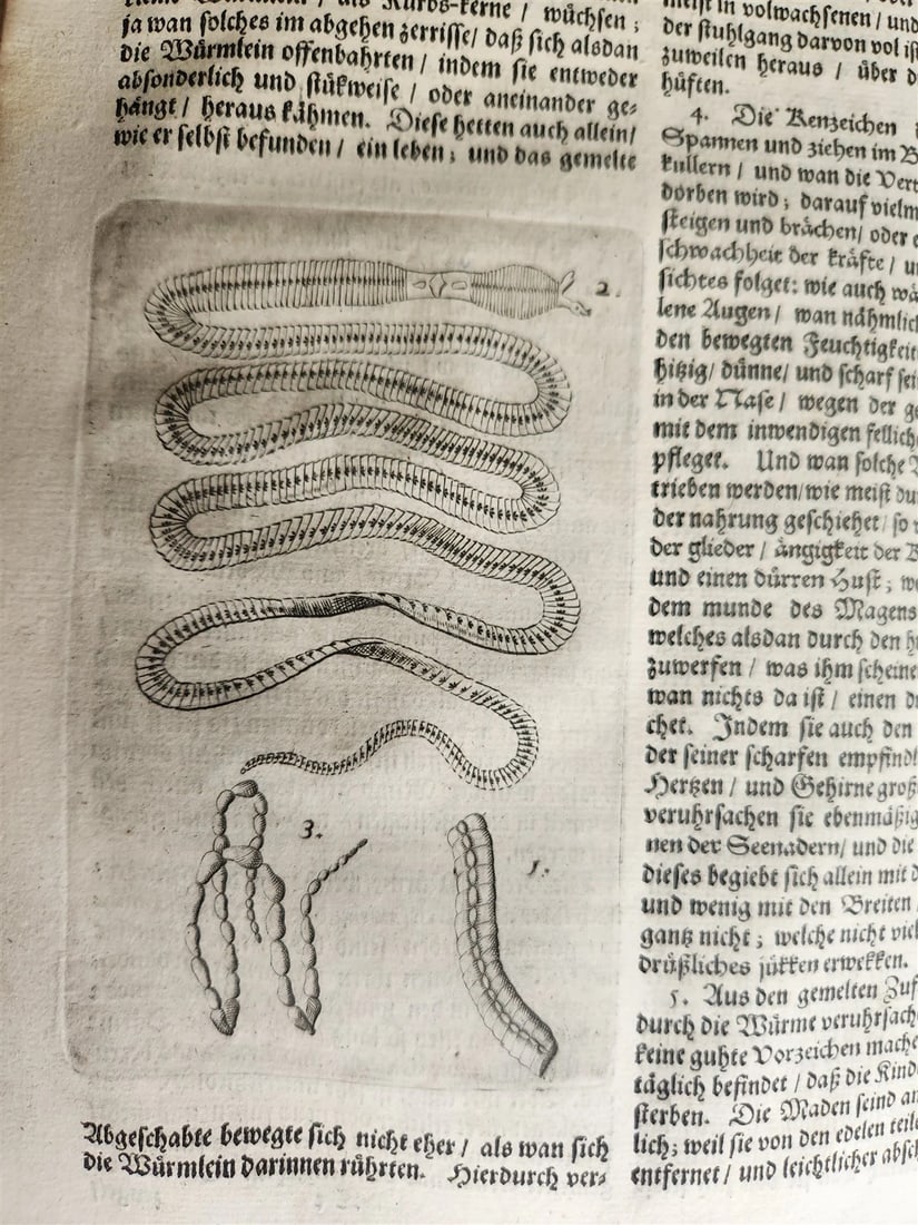 1674 MEDICAL TREATISE by Beverwyck ILLUSTRATED antique VELLUM BOUND FOLIO - 10