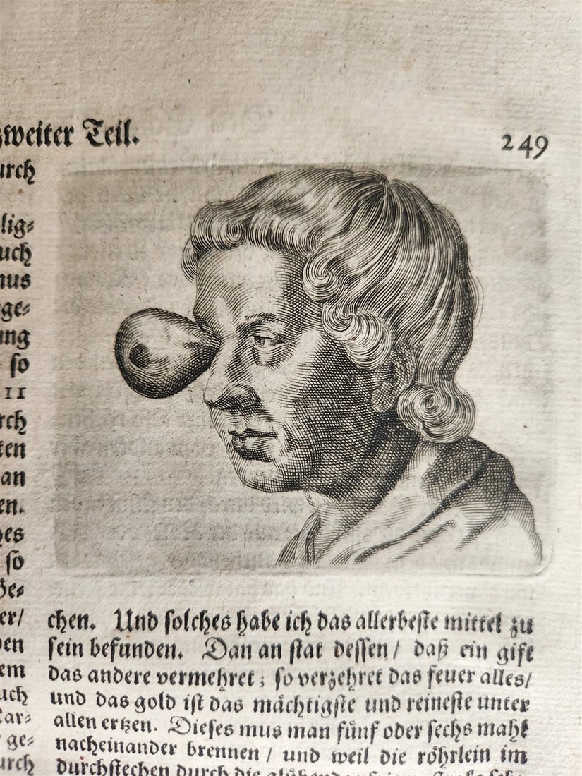 1674 MEDICAL TREATISE by Beverwyck ILLUSTRATED antique VELLUM BOUND FOLIO (1 of 16)