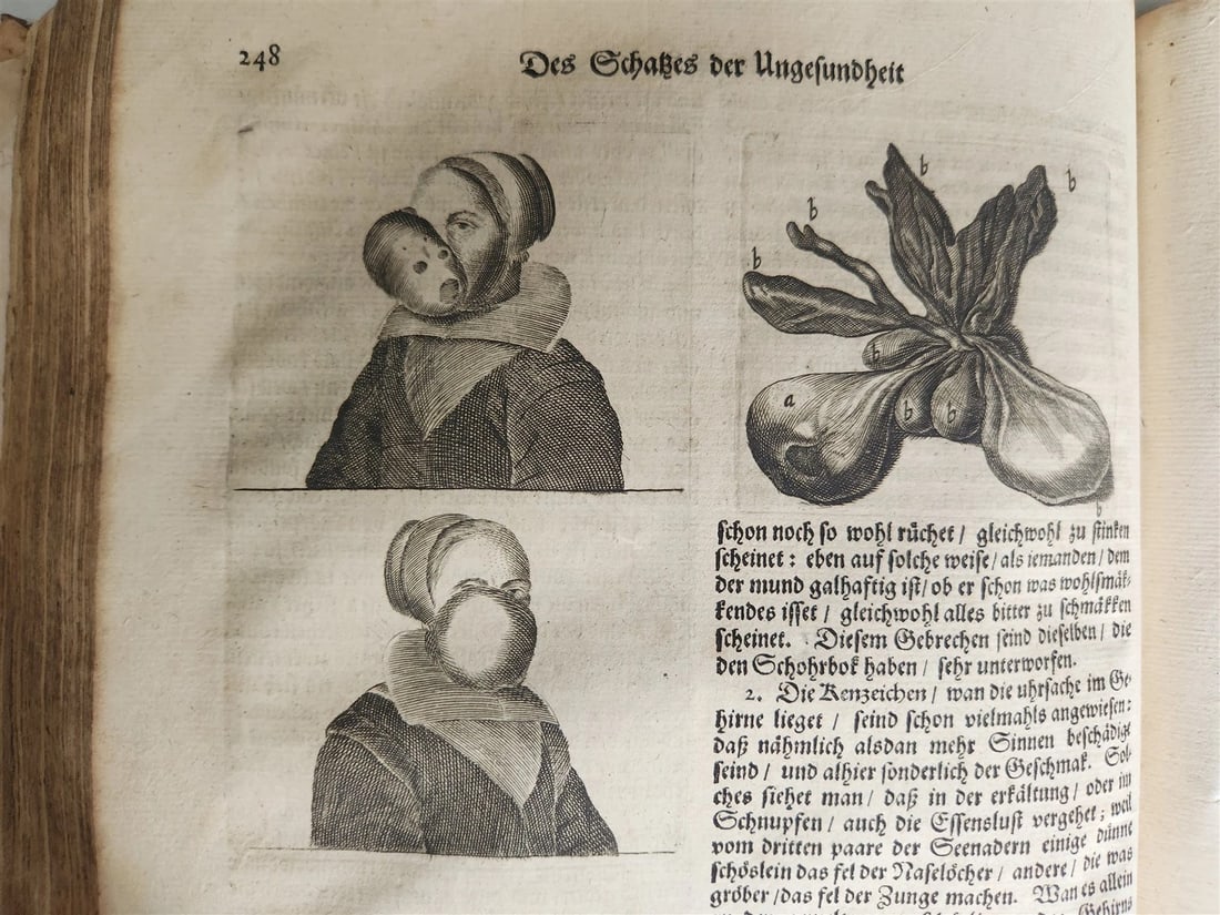 1674 MEDICAL TREATISE by Beverwyck ILLUSTRATED antique VELLUM BOUND FOLIO - 3