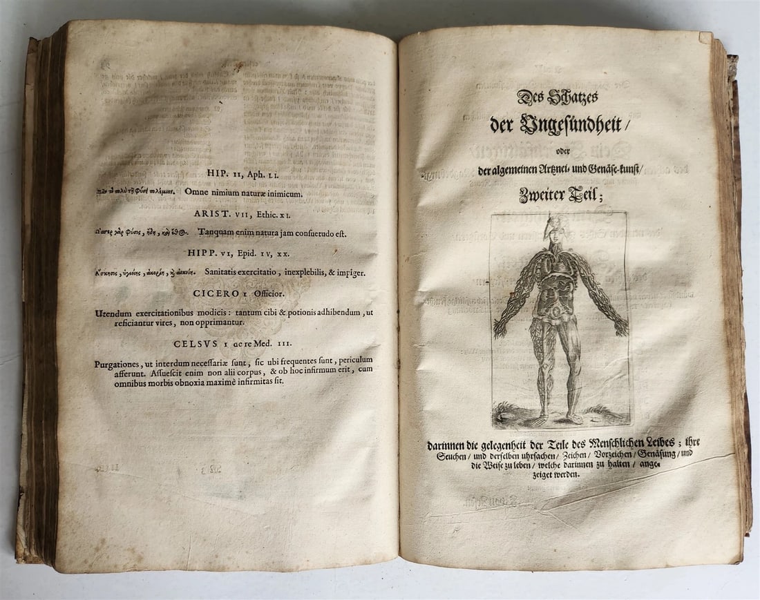 1674 MEDICAL TREATISE by Beverwyck ILLUSTRATED antique VELLUM BOUND FOLIO - 4