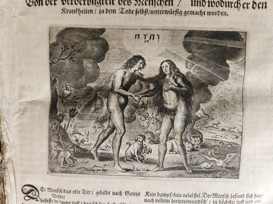 1674 MEDICAL TREATISE by Beverwyck ILLUSTRATED antique VELLUM BOUND FOLIO - 7