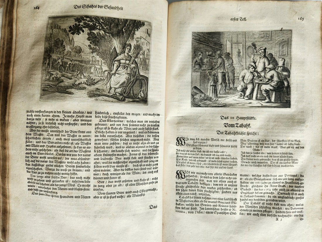 1674 MEDICAL TREATISE by Beverwyck ILLUSTRATED antique VELLUM BOUND FOLIO - 9
