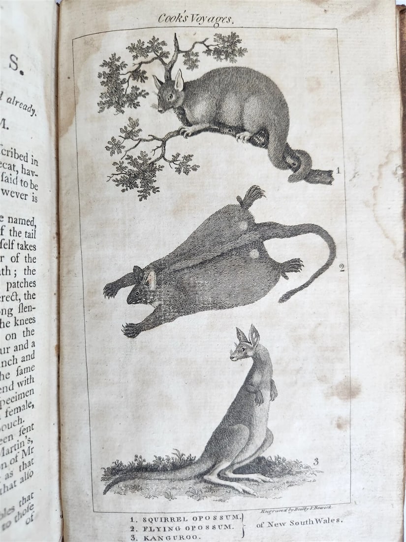1790 CAPTAIN COOK'S VOYAGES ROUND THE WORLD 3 VOLS ILLUSTRATED antique ENGLISH - 10