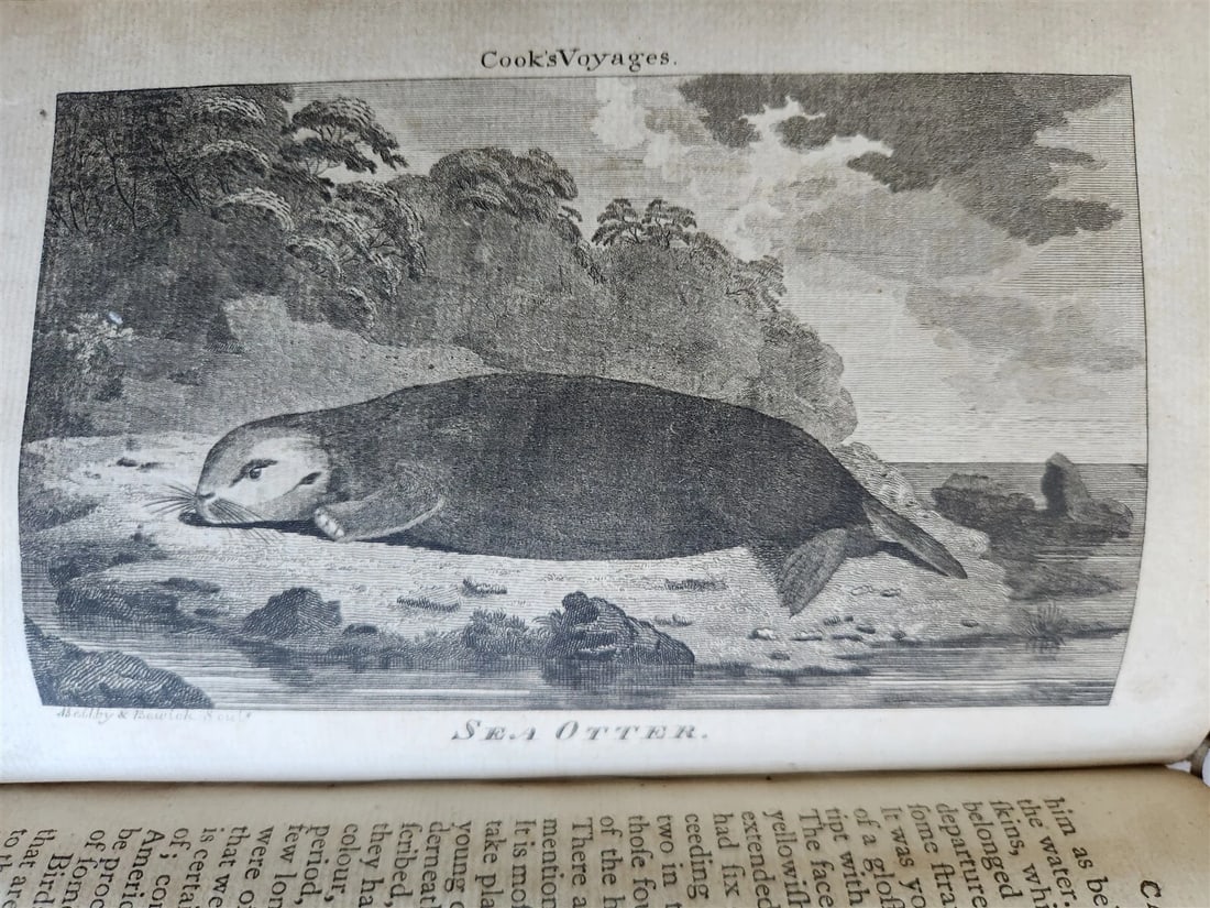 1790 CAPTAIN COOK'S VOYAGES ROUND THE WORLD 3 VOLS ILLUSTRATED antique ENGLISH - 18
