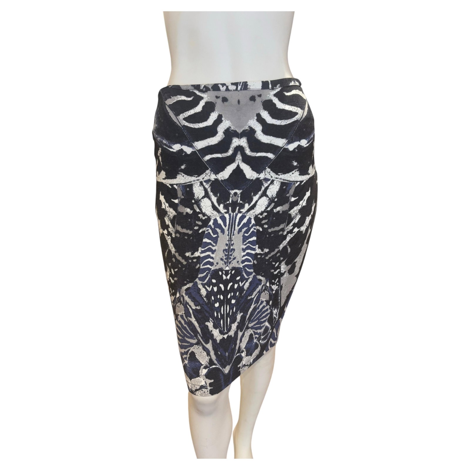 2013 Mc Alexander McQueen Kaleidoscope Beetle Print Skirt (S) (1 of 20)