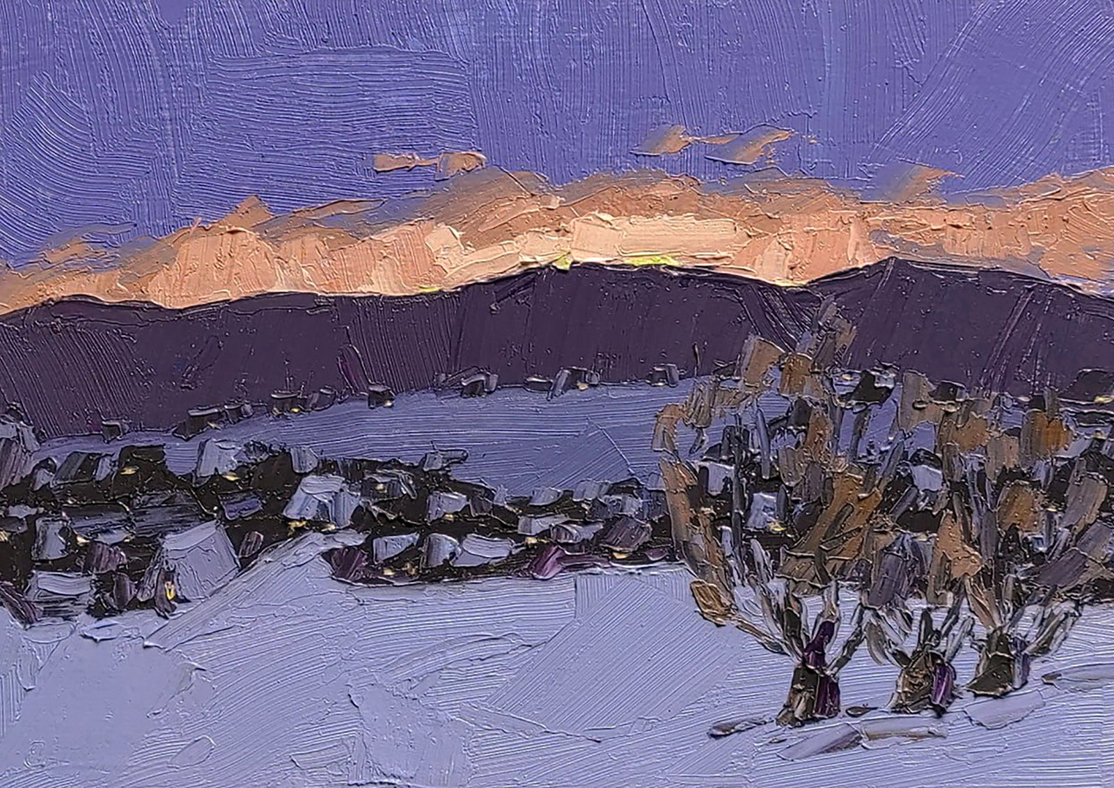 Oil painting Evening Yaroslav Savchyn: Title: Oil painting Evening Yaroslav Savchyn Description: 11SAVCH Painter: Yaroslav Savchyn Size: 25x35 cm/9.84x13.77 inches Components: oil, canvas on cardboard Original painting CONDITION: excellent