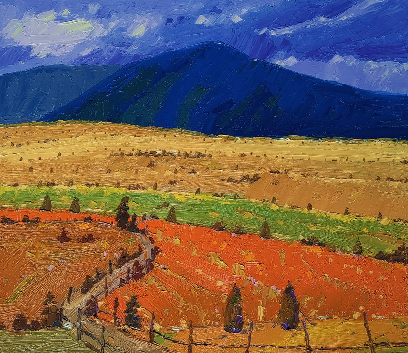Oil painting Mountain fields Yaroslav Savchyn: Title: Oil painting Mountain fields Yaroslav Savchyn Description: 99SAVCH Painter: Yaroslav Savchyn Size: 60x70 cm/23.62x27.55 inches Components: oil, canvas on hardboard Original painting CONDITION: 