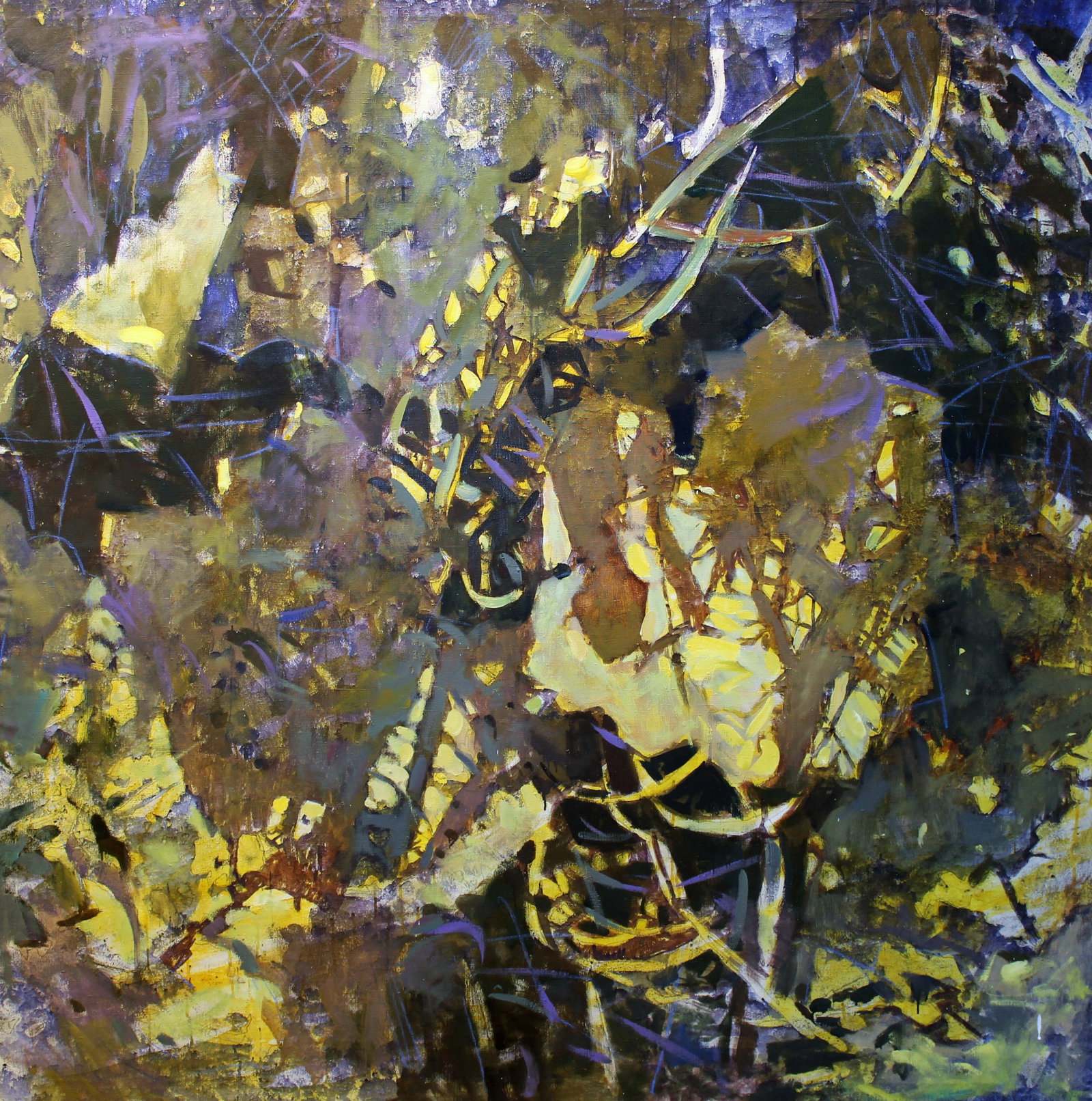 Oil painting Grass Ed Potapenkov: Title: Oil painting Grass Ed Potapenkov Description: 17POTAP Painter: Ed Potapenkov Size: 150x150 cm/59.05x59.05 inches Components: oil, canvas Original painting CONDITION: excellent ARTIST: Ed Potape