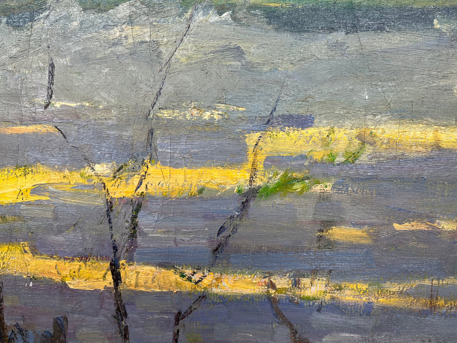 Oil painting Spring came Kogan-Shatz - 8
