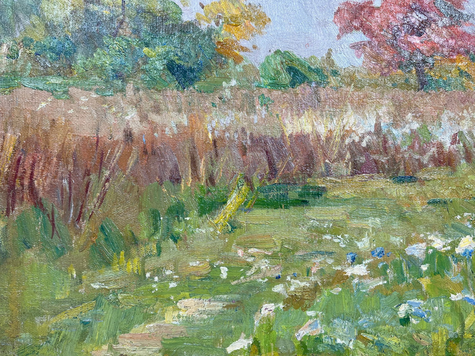Oil painting Autumn meadow Kogan-Shatz - 6