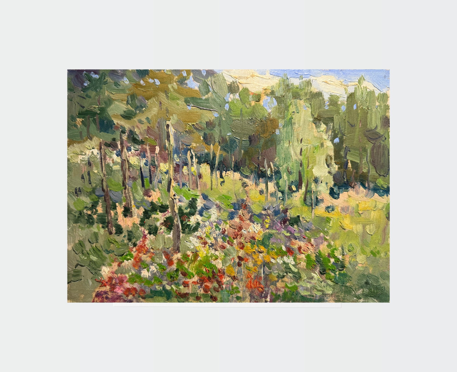 Oil painting An overgrown vegetable garden K. Leonid - 2