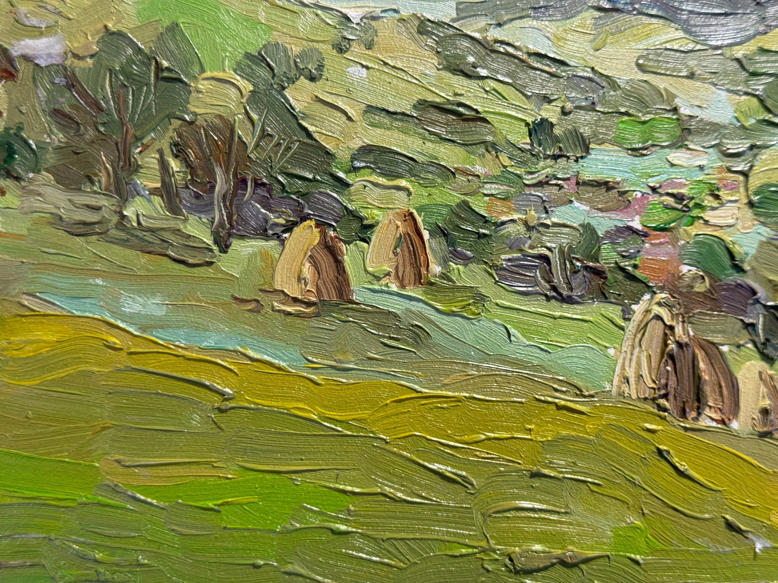 Oil painting village in the Carpathians K. Leonid - 5