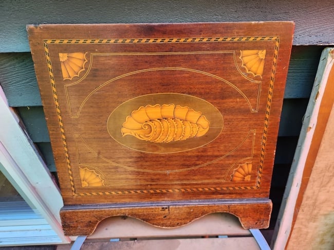 19th Century Inlaid Wood Conch Shell panel Marquetry: Grandfather Clock panel. Gorgeous conch shell . Sorry about the glare. No light and dark spots. Areas of missing wood. Dates to late 1800. Measures 18 x 18" approximately. All items insured.