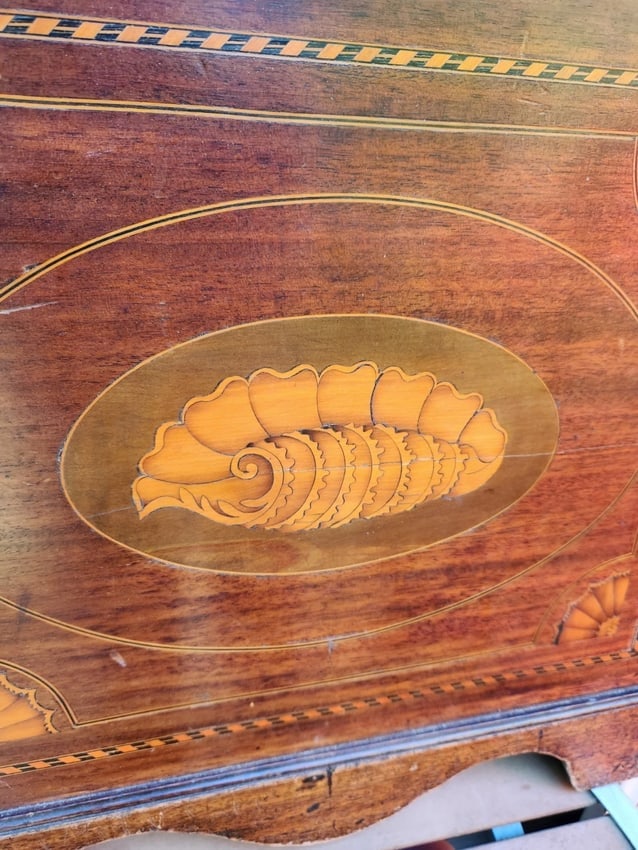 19th Century Inlaid Wood Conch Shell panel Marquetry - 2