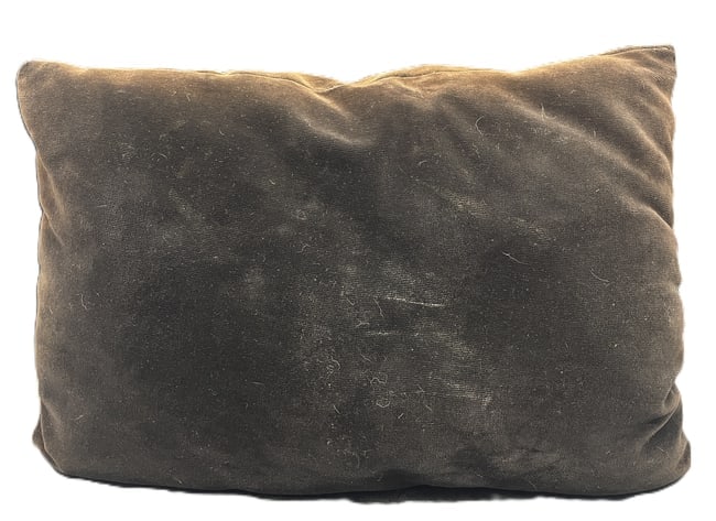 Adorable Retro Pillow - 3
