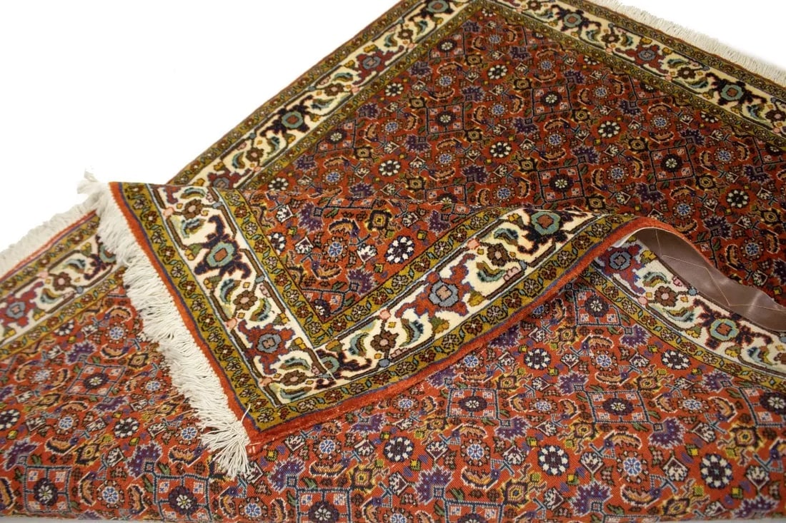 Vintage Orange Floral 4X5 Bidjar Persian Oriental Rug - 16