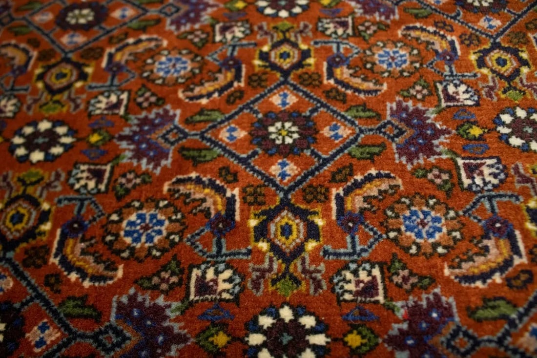 Vintage Orange Floral 4X5 Bidjar Persian Oriental Rug - 9