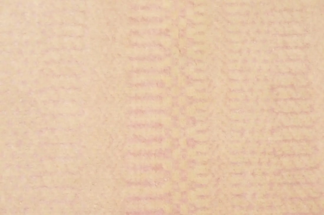 Pale Pink Grass Design 2X3 Modern Oriental Rug - 7