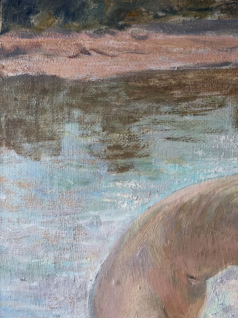Oil painting Bathing in the sun V. Mishurovsky - 2