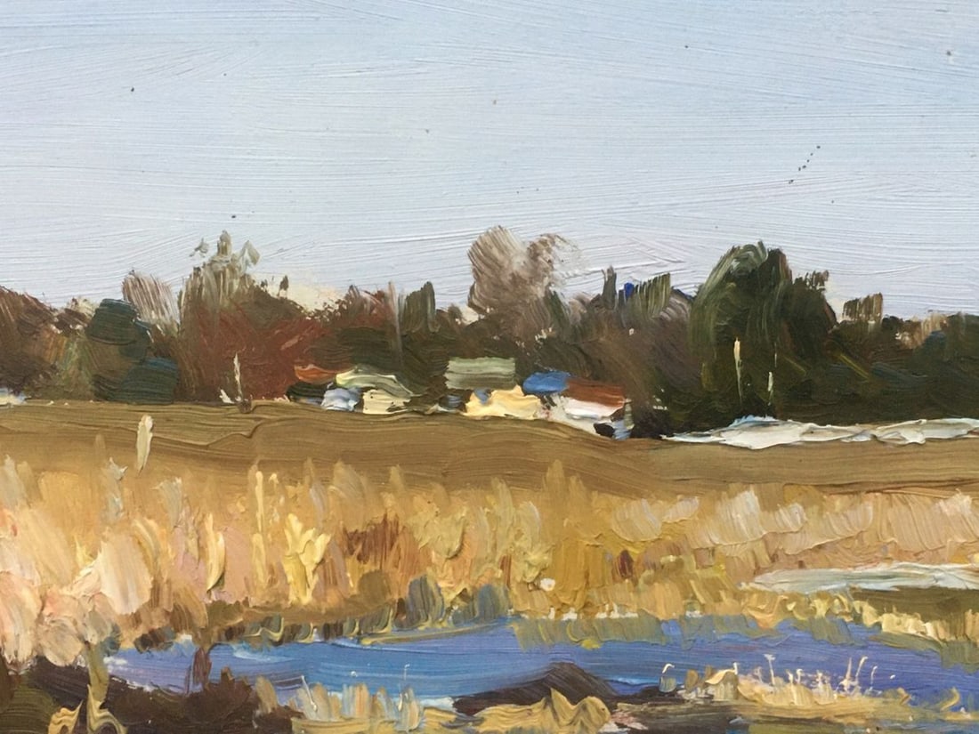 Oil painting Pond Field Ivanenko Vladimir Mikhailovich - 3