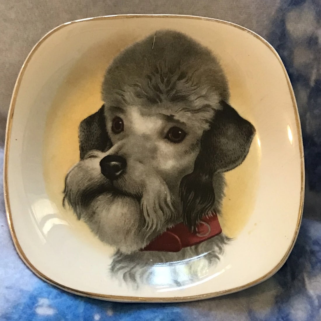 Crown Staffordshire Plate Painted Dog Image Made In England (1 of 6)