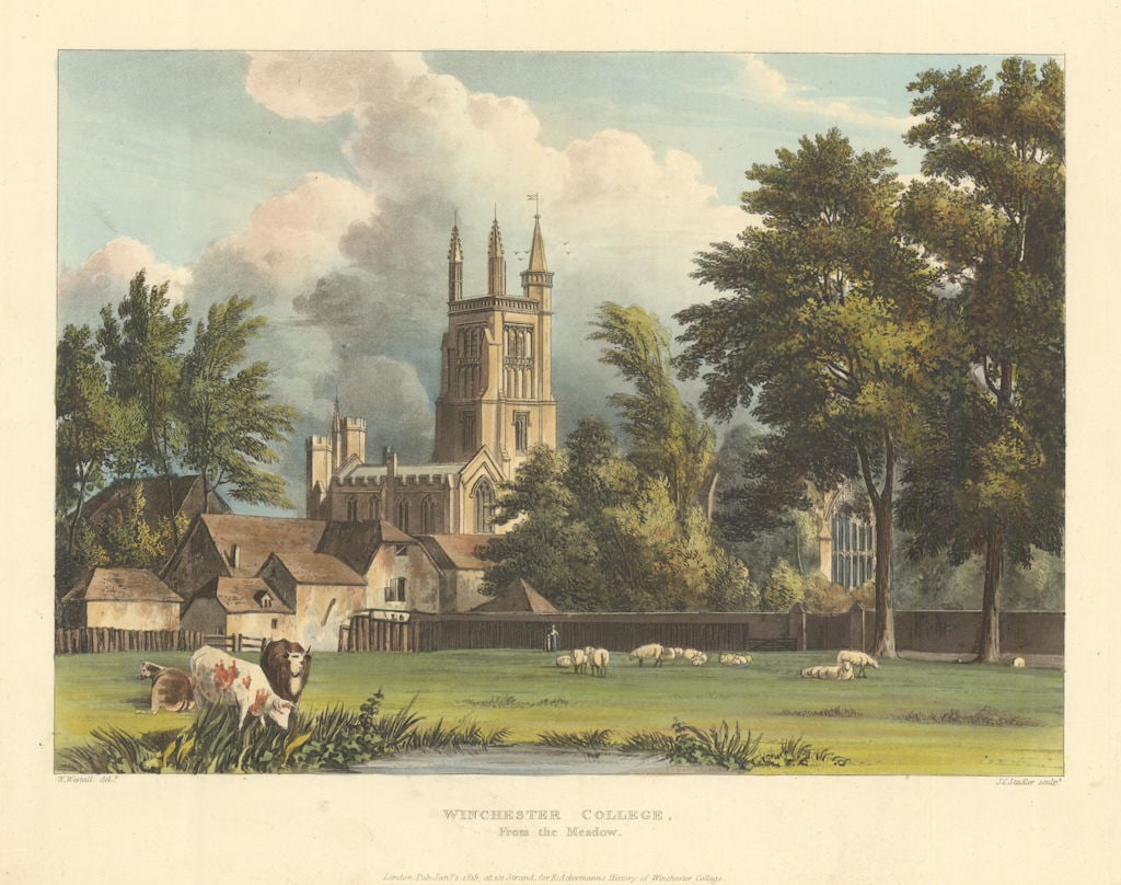 Winchester College, from the Meadow. Ackermann's schools 1816 old print (1 of 1)
