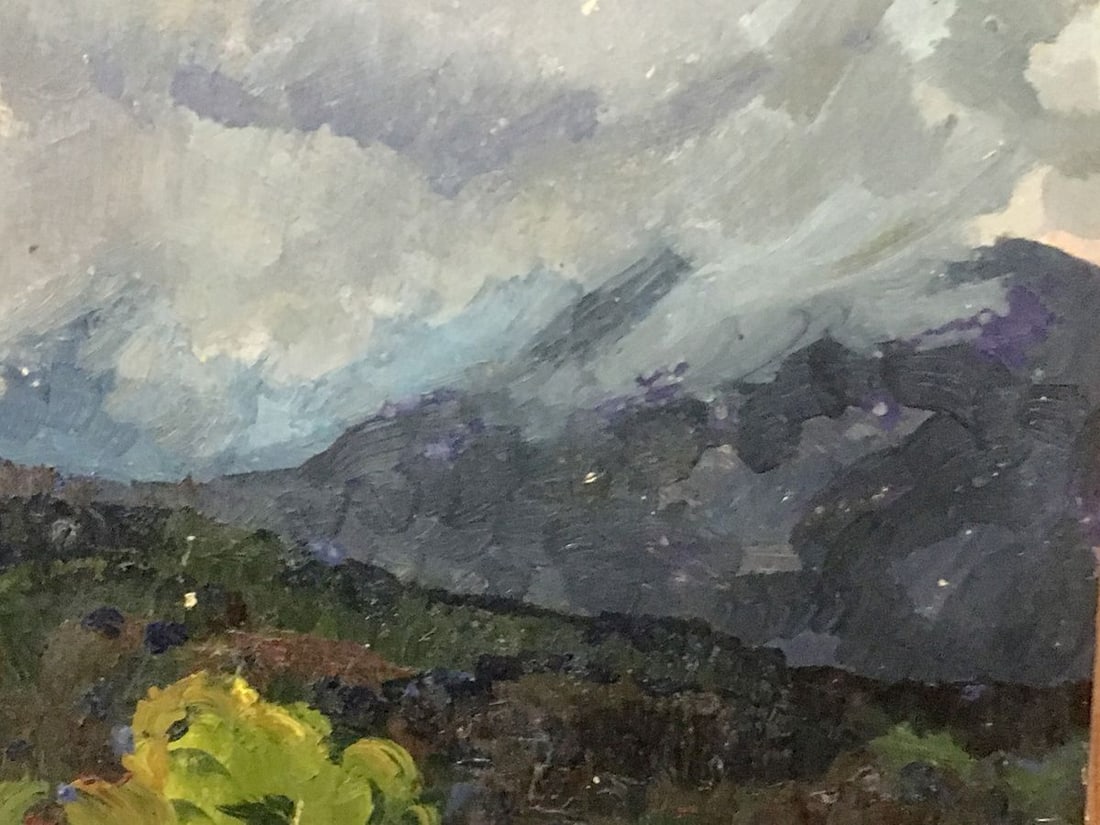 Oil painting Rain in the mountains Aleksandrochkin Yuri Mikhailovich - 3