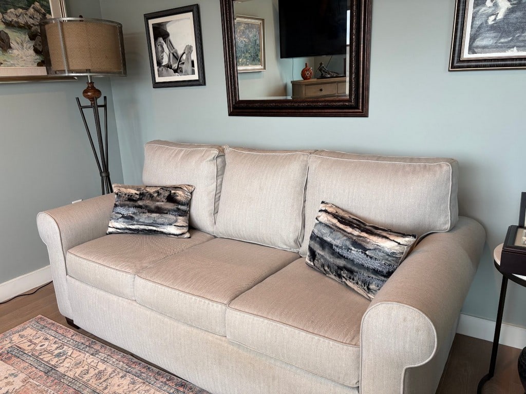 Contemporary Sleeper Sofa - 8