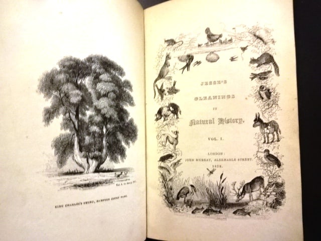 1838 Jesse's Gleanings in Natural History: Title: 1838 Jesse's Gleanings in Natural History Description: Two volume set “Jesse's Gleanings in Natural History”, printed at London by John Murray 1838. Volume I with frontis and
