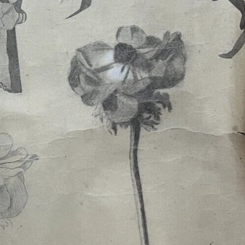 Antique Architecture Original Drawing Flowers, Floral, Artichoke - 4