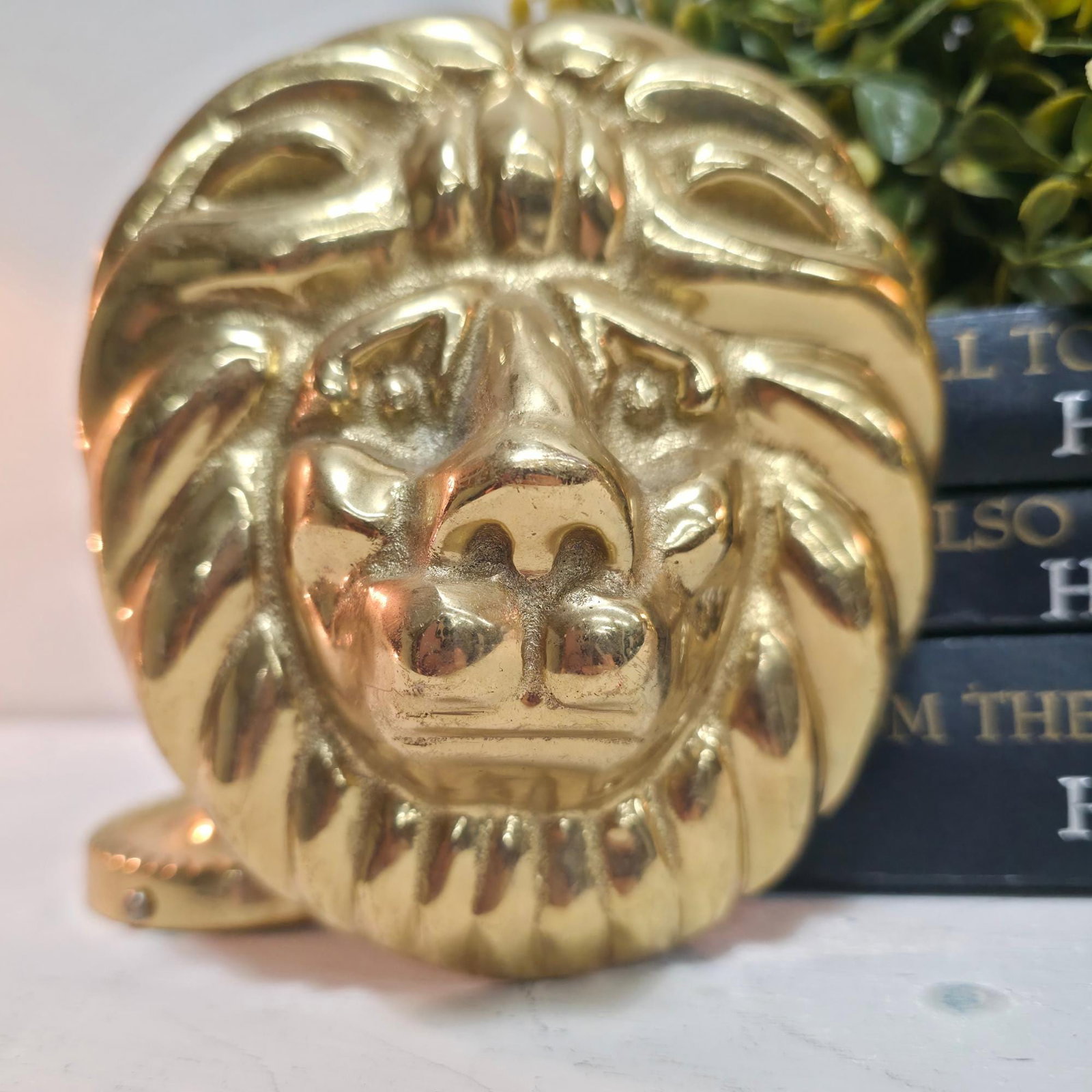 Vintage Brass Lion Head Hardware Medallion Gold Curtain Holders Hollywood Regency - 6